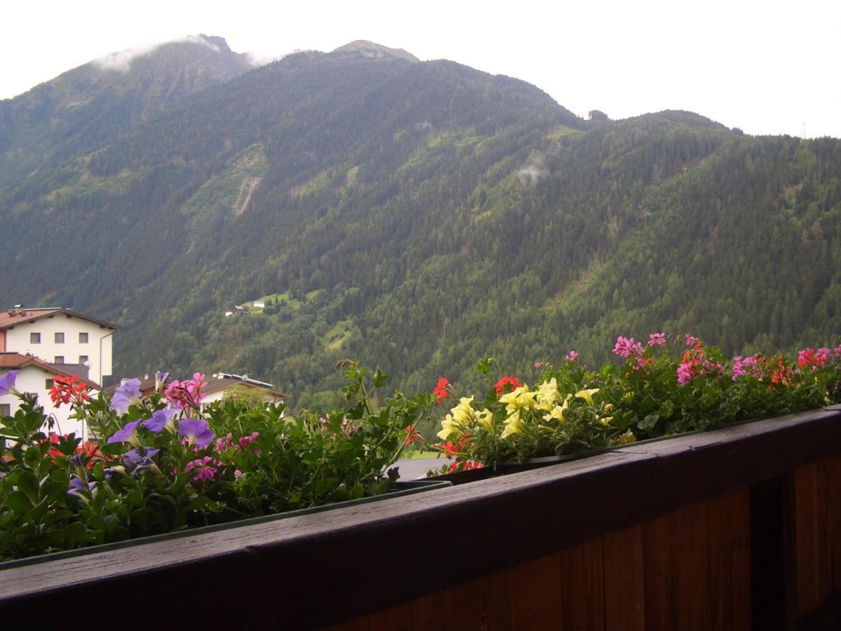 Haus Brigitte - Preise Inclusive Pitztal Sommer Card Jerzens Luaran gambar